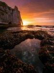  Photo Credit: Photo by Evgeni Tcherkasski on Unsplash