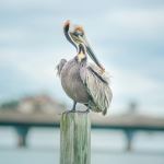  Photo Credit: Photo by KaroGraphix Photography on Unsplash