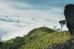  Photo Credit: Photo by Cristhian Carreño on Unsplash