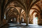  Photo Credit: Photo by Peter Herrmann on Unsplash