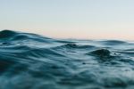 Waves off of Bondi Beach - Photo Credit: Photo by Matt Hardy on Unsplash