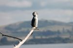  Photo Credit: Photo by Leonie Clough on Unsplash