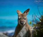  Photo Credit: Photo by Alistair King on Unsplash