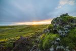  Photo Credit: Photo by Chris Ried on Unsplash