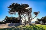 Poplar Beach - Photo Credit: Photo by Mick Haupt on Unsplash