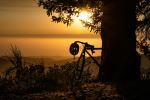 Purisima Creek Trail - Photo Credit: Photo by Mike Perrotta on Unsplash
