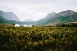  Photo Credit: Photo by Matthijs van Schuppen on Unsplash