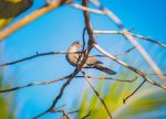  Photo Credit: Photo by Fernando Gutierrez on Unsplash