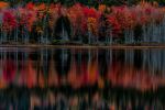  Photo Credit: Photo by Terry Granger on Unsplash