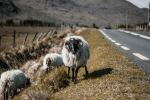  Photo Credit: Photo by Andreas Wagner on Unsplash