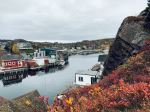 Quidi Vidi - Photo Credit: Photo by Pei Yu on Unsplash