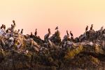  Photo Credit: Photo by Daniel Sinoca on Unsplash