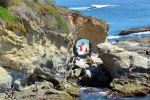  Photo Credit: Photo by Jeffrey Eisen on Unsplash