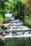 Tabacon Hot Springs - Photo Credit: Photo by Ezgi Kimball on Unsplash