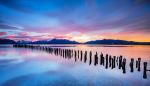  Photo Credit: Photo by martin bennie on Unsplash