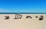 Dinosaur Playground - Photo Credit: Photo by Jeff McLain on Unsplash