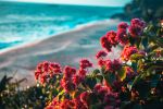  Photo Credit: Photo by Raimond Klavins on Unsplash
