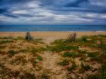 Photo Credit: Photo by Ahmed Ammar on Unsplash