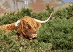 Fionnphort - Photo Credit: Photo by Andrew Dawes on Unsplash
