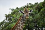  Photo Credit: Photo by Nadine Venter on Unsplash