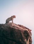  Photo Credit: Photo by Geranimo on Unsplash