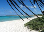 Loblolly Beach - Photo Credit: Photo by Kathleen Tyler Conklin from Wikimedia