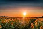  Photo Credit: Photo by rehan shaik on Unsplash