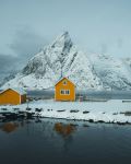  Photo Credit: Photo by Luke Stackpoole on Unsplash