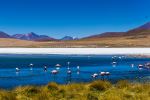  Photo Credit: Photo by Guille Álvarez on Unsplash