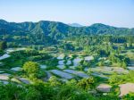  Photo Credit: Photo by Nichika Sakurai on Unsplash