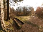  Photo Credit: Photo by Jack Henry on Unsplash