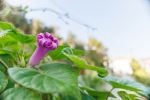  Photo Credit: Photo by Stock Birken on Unsplash