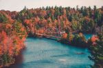  Photo Credit: Photo by Max Bender on Unsplash