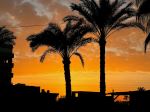  Photo Credit: Photo by Mohamed on Unsplash