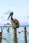  Photo Credit: Photo by Meritt Thomas on Unsplash