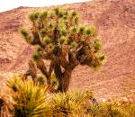  Photo Credit: Photo by Judy Doherty on Unsplash