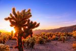 Photo Credit: Photo by Mehz K on Unsplash