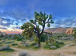  Photo Credit: Photo by James Lee on Unsplash