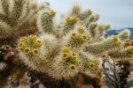  Photo Credit: Photo by Mike Pierson on Unsplash