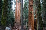  Photo Credit: Photo by Josh Carter on Unsplash