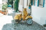  Photo Credit: Photo by Mert Kahveci on Unsplash