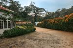 Ceylon Tea Museum - Photo Credit: Photo by Zoshua Colah on Unsplash