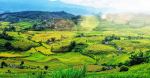  Photo Credit: Photo by Hà Link on Unsplash