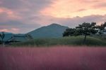  Photo Credit: Photo by Dmitry Voronov on Unsplash