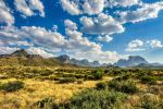  Photo Credit: Photo by Mick Haupt on Unsplash