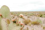  Photo Credit: Photo by Katie Polansky on Unsplash