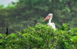  Photo Credit: Photo by Mosharraf Hossain on Unsplash