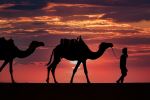  Photo Credit: Photo by Mehdi El marouazi on Unsplash