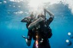  Photo Credit: Photo by Uber Scuba Gili on Unsplash