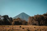  Photo Credit: Photo by Sophie on Unsplash